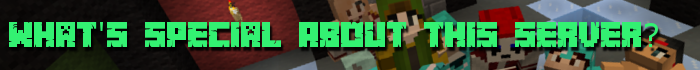 What's Special About This Server